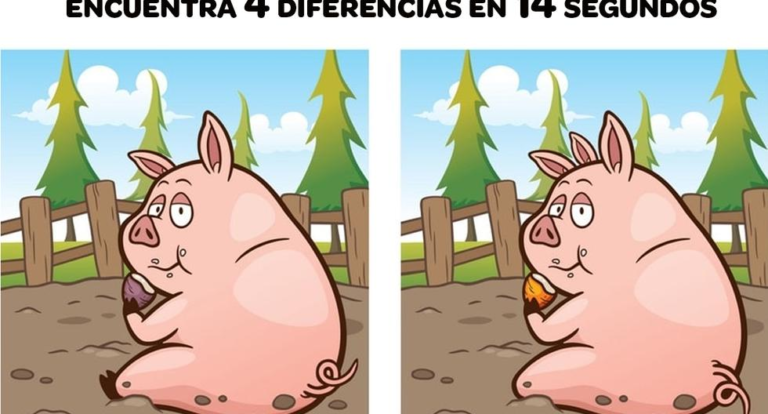 Reto visual: Encuentra 4 diferencias entre las imágenes de cerdos en 14 segundos