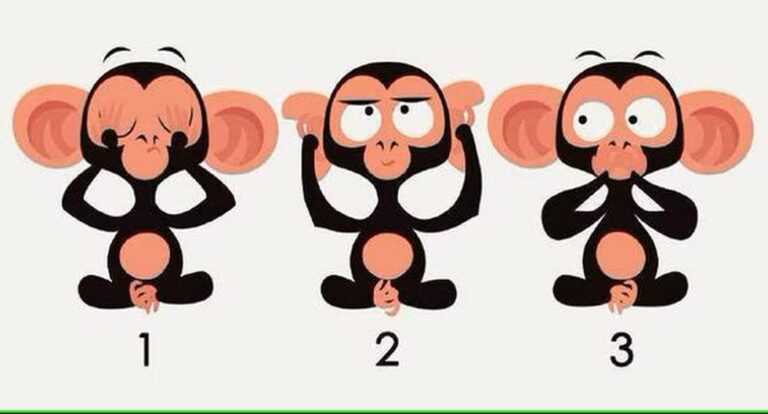 Elige uno de los tres monos del test visual y desvela lo que piensa de ti