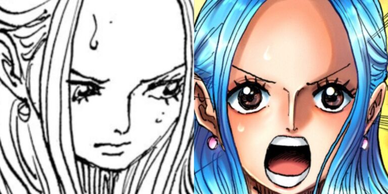 One Piece: La verdadera importancia de Vivi, explicada