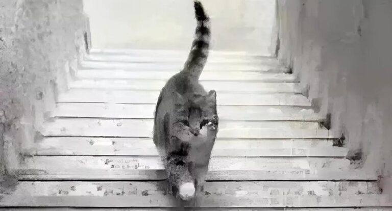 Saber si eres un genio con solo decirnos si el gato sube o baja las escaleras