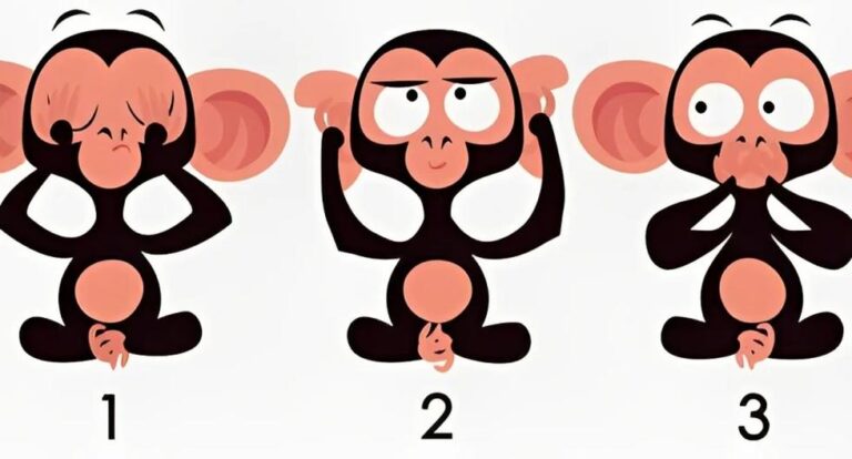 El mono que elijas mostrará lo que tu mente quiere decirte ahora mismo