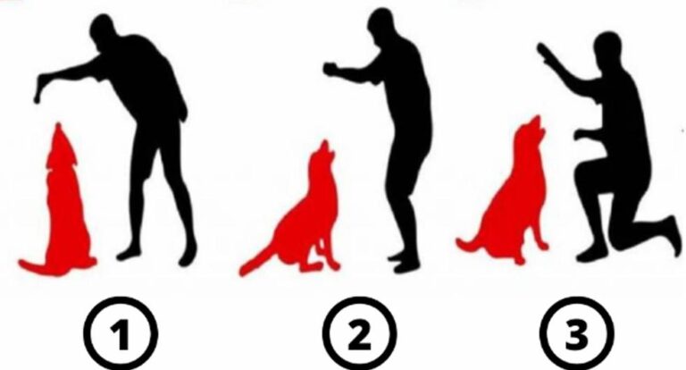 ¿Cuál no es dueño del perro?  Tu respuesta revelará tu nivel de inteligencia.