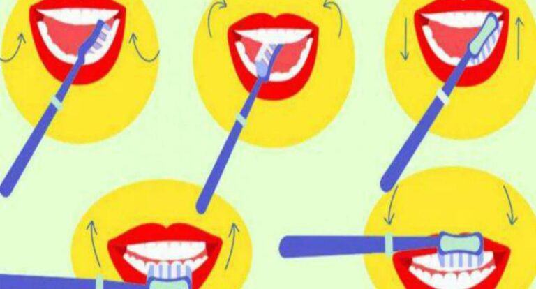 El test de personalidad revelará tus puntos fuertes según cómo te cepilles los dientes