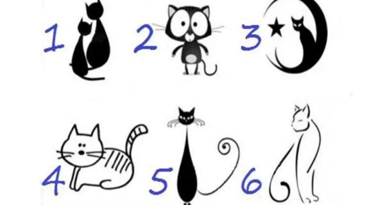 Elige un gato de la imagen y recibe información exacta sobre tu personalidad