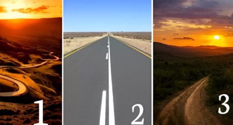 El camino que elijas de los tres que ves te revelará en qué etapa de tu vida te encuentras