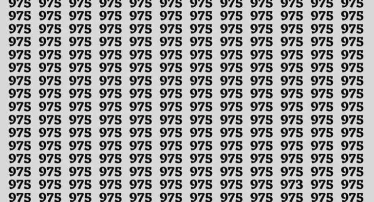 ¡Tienes ojos de águila si puedes detectar el número 973 de 975 en 3 segundos!