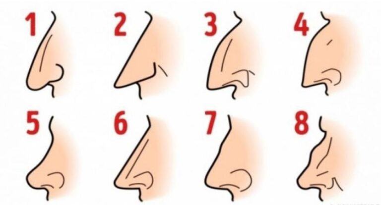 Según la forma de tu nariz, descubrirás si tienes un carácter imponente