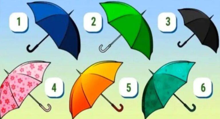 Elige tu paraguas favorito y recibirás información sobre tu forma de ser