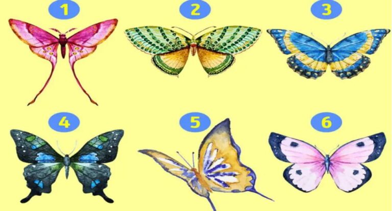 Se revelarán aspectos ocultos de tu personalidad, dependiendo de la mariposa que elijas.