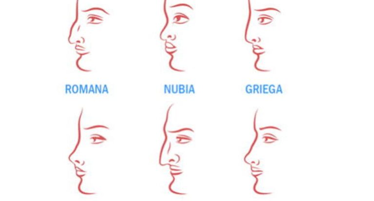 ¿Tienes nariz griega, romana o nubia?  La forma de tu nariz revelará si eres sincero