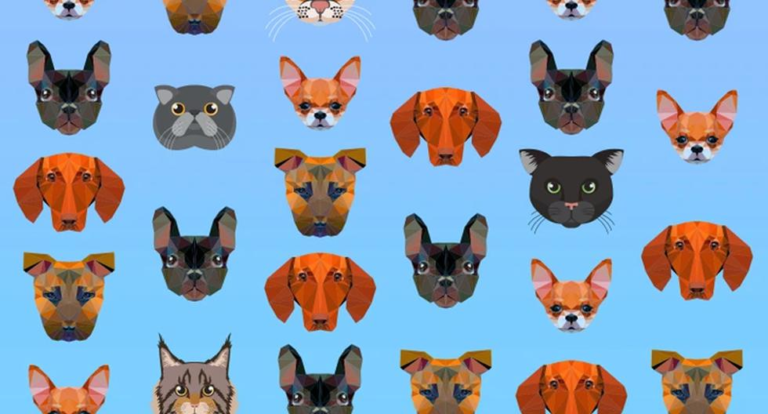 ¿Puedes contar los gatos en la imagen en solo 15 segundos?