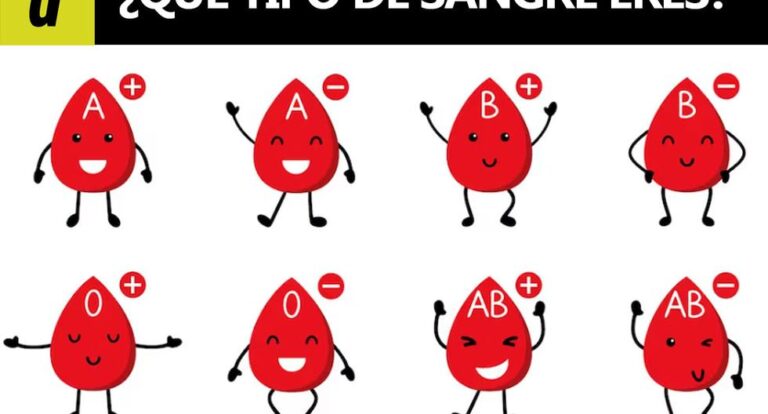 ¿Tienes sangre tipo A, B, AB u O?  Tu grupo sanguíneo dice mucho de lo que imaginas
