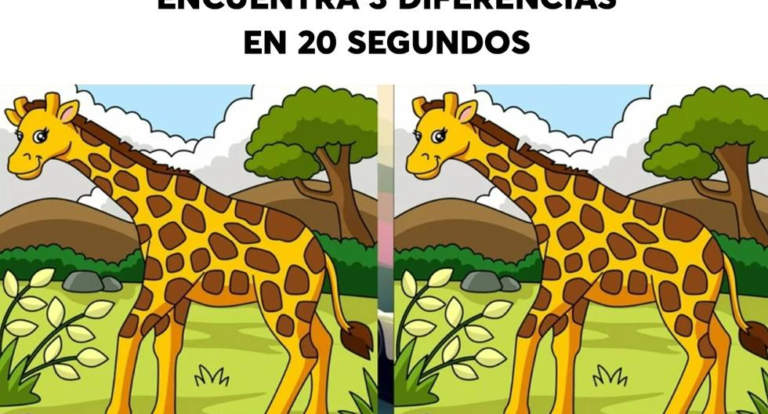 ¿Tienes buen ojo para los detalles?  Encuentra las diferencias entre las jirafas en menos de 20 segundos