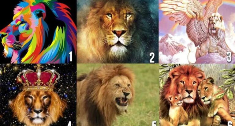 Descubrirás qué tipo de pareja necesitas seleccionando un león de la imagen