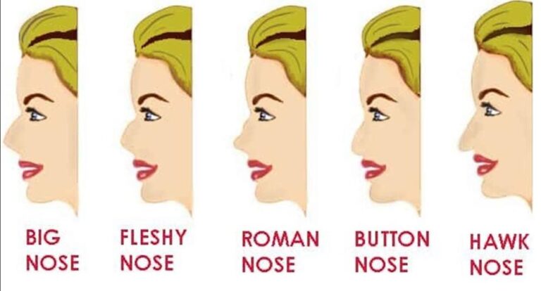 ¿Tienes una nariz grande, de halcón o de botón?  La forma que tiene mostrará tu verdadera personalidad.