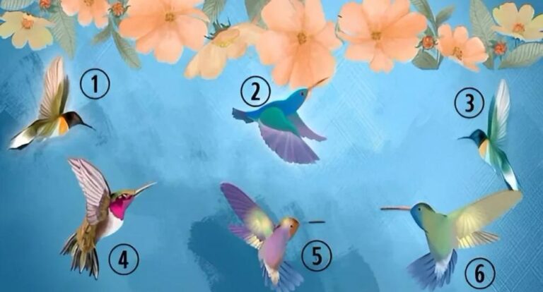 El colibrí que elijas revelará si eres una persona libre o si algo te atormenta