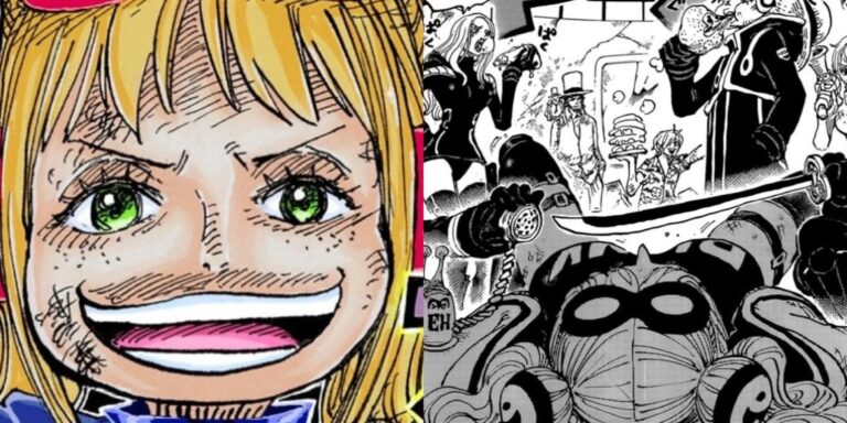 One Piece: York’s Plan, Explained