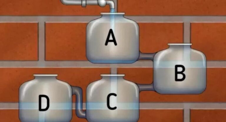 Prueba tu inteligencia determinando cuál tanque se llenará primero