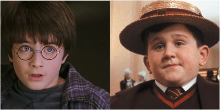 Harry Potter: Explicación de la relación de Harry y Dudley