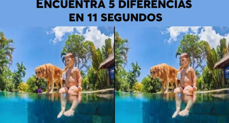 Encuentra las 5 diferencias en 11 segundos y demuestra tu astucia