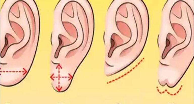 La forma de tus orejas revelará con precisión los rasgos más ocultos de tu personalidad
