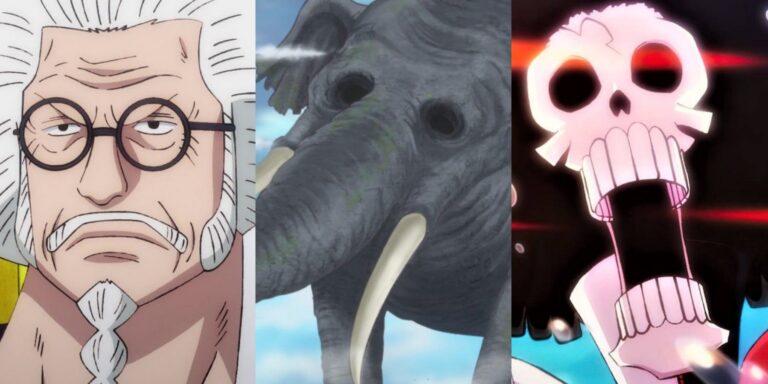 One Piece: 13 Oldest Characters