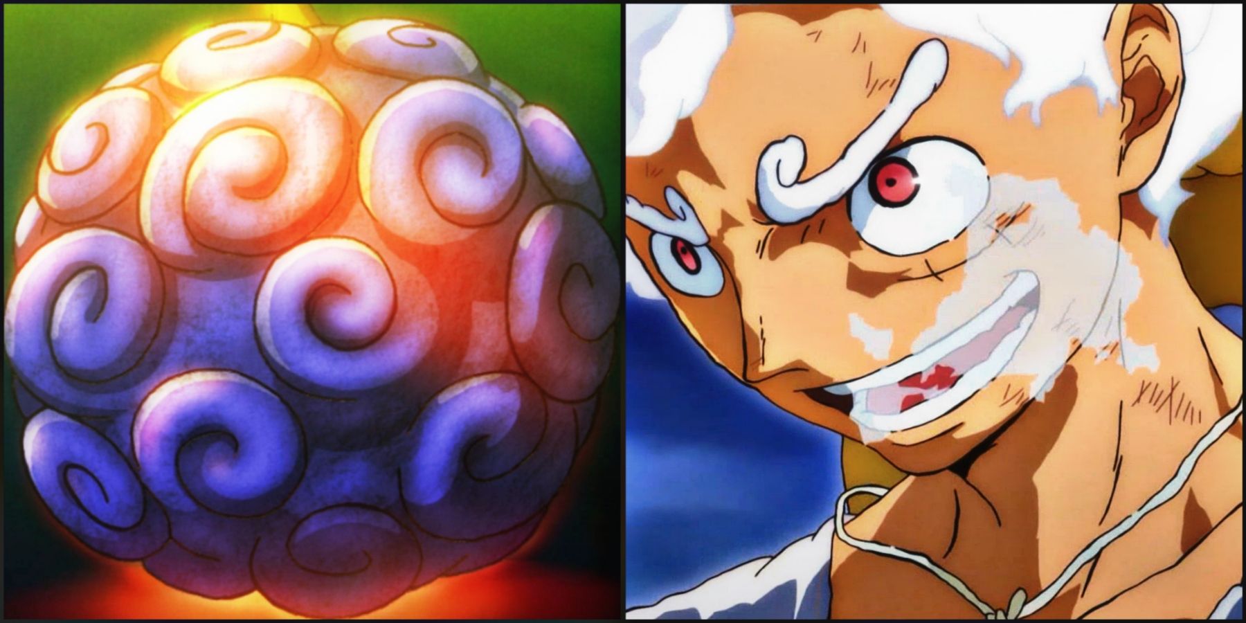 One Piece: Why The Gomu Gomu no Mi Shows Both Paramecia And Zoan Powers ...