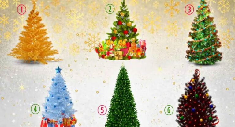 Nombra tu árbol de Navidad favorito y descubrirás qué tipo de persona eres