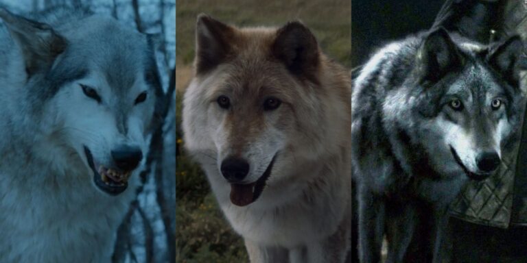 Juego de Tronos: ¿Qué pasó con los lobos huargos?