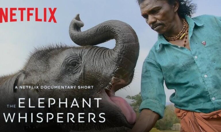 Los azotadores de elefantes Descargar [2023] Filtrado en línea en Tamilyogi