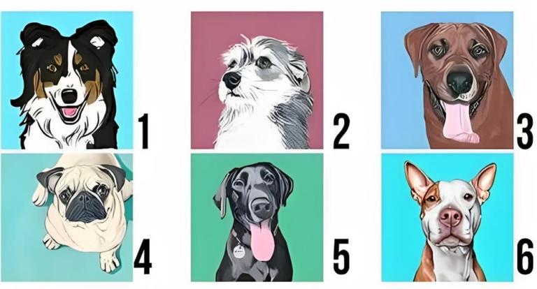 Elige un perro y descubre cómo te ve la gente en este test de personalidad