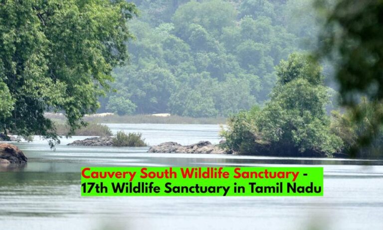 Santuario de vida silvestre Cauvery South: en el distrito de Krishnagiri |  Especies |  Ubicación |  Fecha de apertura