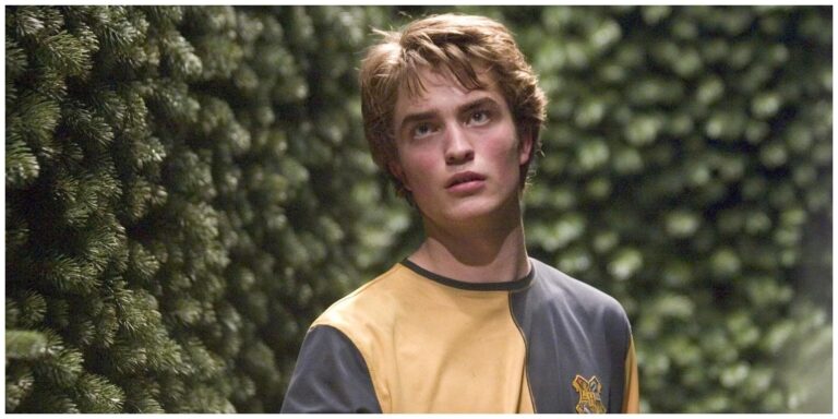 Harry Potter: La vida de Cedric Diggory, explicada