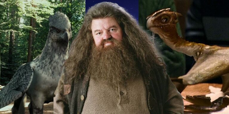 Harry Potter: ¿Cómo consiguió Hagrid todas sus mascotas?