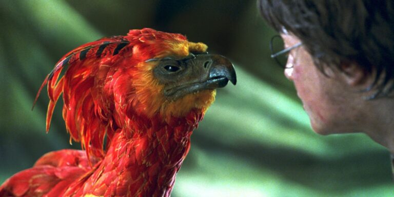 Harry Potter: ¿Qué es un Fawkes?