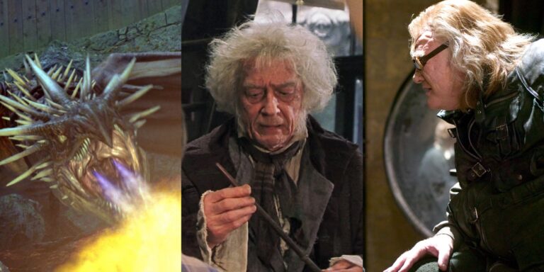 Harry Potter: 8 profesiones famosas en el mundo mágico
