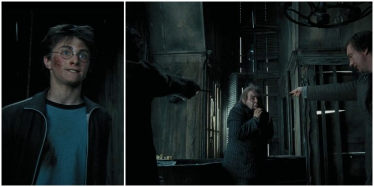 Harry Potter: El encuentro en la Casa de los Gritos, explicado