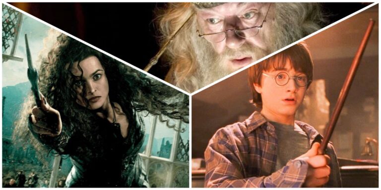 Harry Potter: 15 Strangest Wands