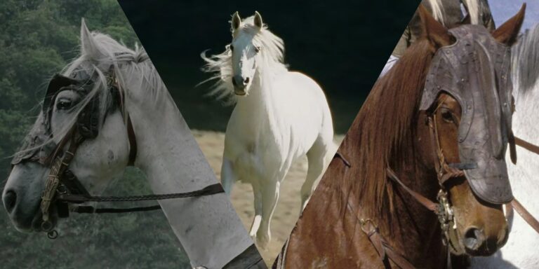 LOTR: Los caballos de la Tierra Media explicados