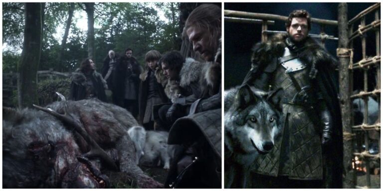 Game Of Thrones: The Bond Between Direwolves And Starks, Explained