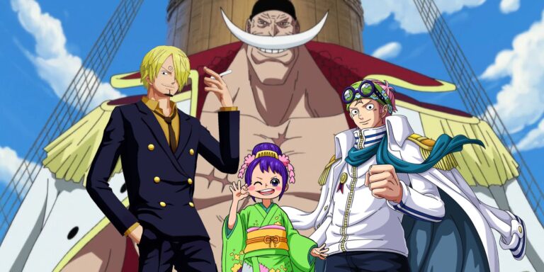 One Piece: Los 7 personajes más desinteresados, clasificados