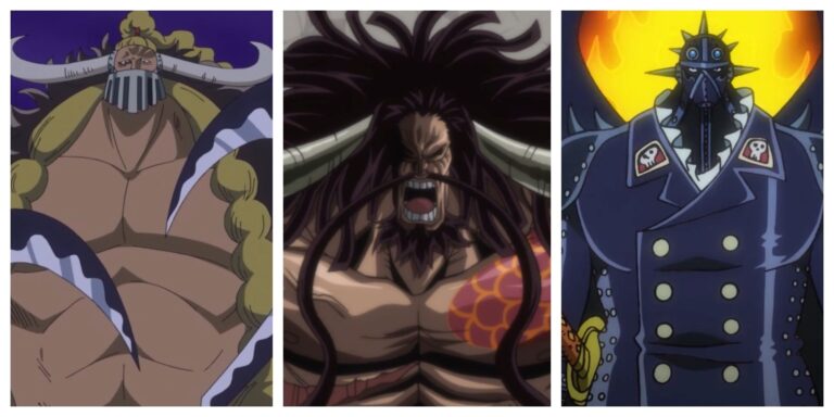 One Piece: Every Species In the Beasts Pirates