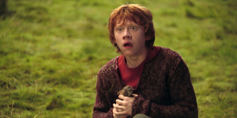 Harry Potter: cómo Ron Weasley termina envenenado, explicado