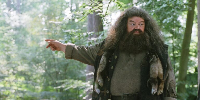 Harry Potter: Explicación de por qué Hagrid está prohibido en la magia