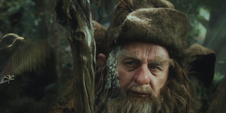 LOTR: ¿Dónde estaba Radagast Brown durante la Guerra del Anillo Único?