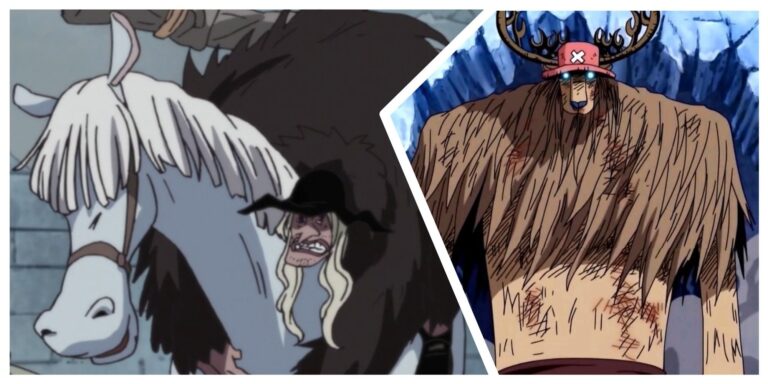 One Piece: Todos los animales con fruta del diablo