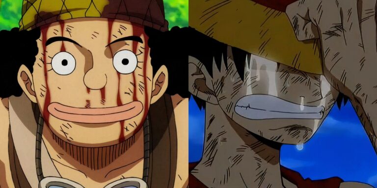 One Piece: La muerte de un Sombrero de Paja, explicado