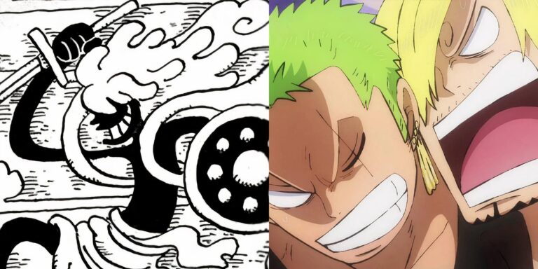 Teoría de una parte: la espada y el escudo de Zoro y Sanji Nika